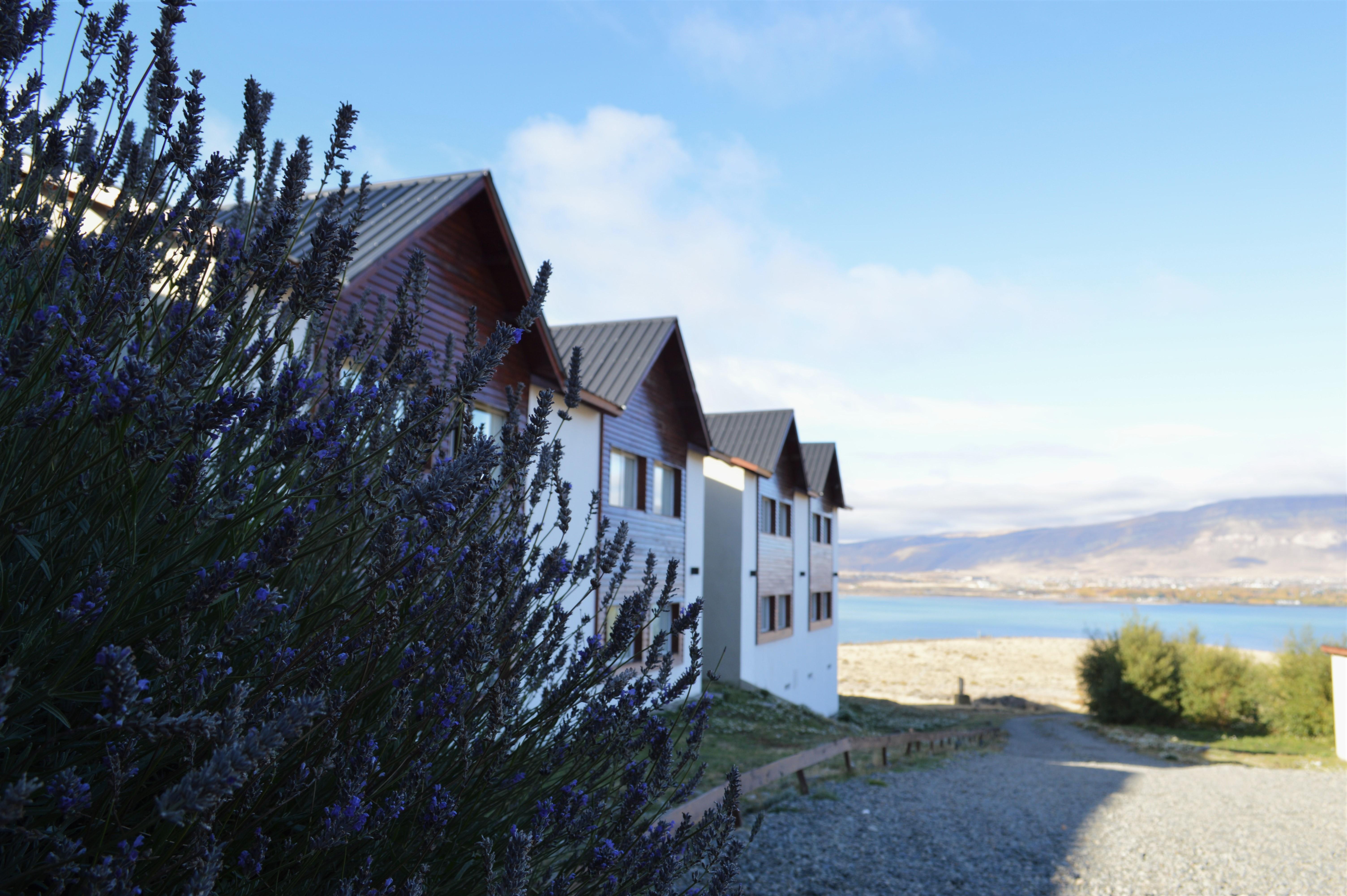 Edenia Hotel & Nature El Calafate Extérieur photo